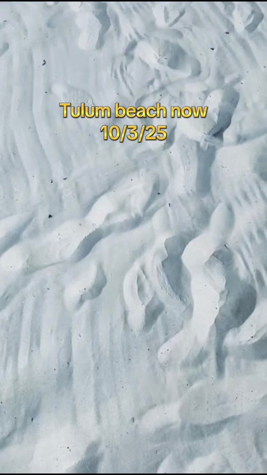 Post 8 by ✨ Shana Chyhia on TikTok (video)
