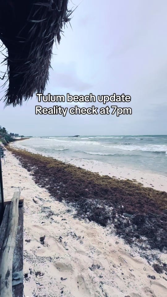 Post 6 by ✨ Shana Chyhia on TikTok (video)