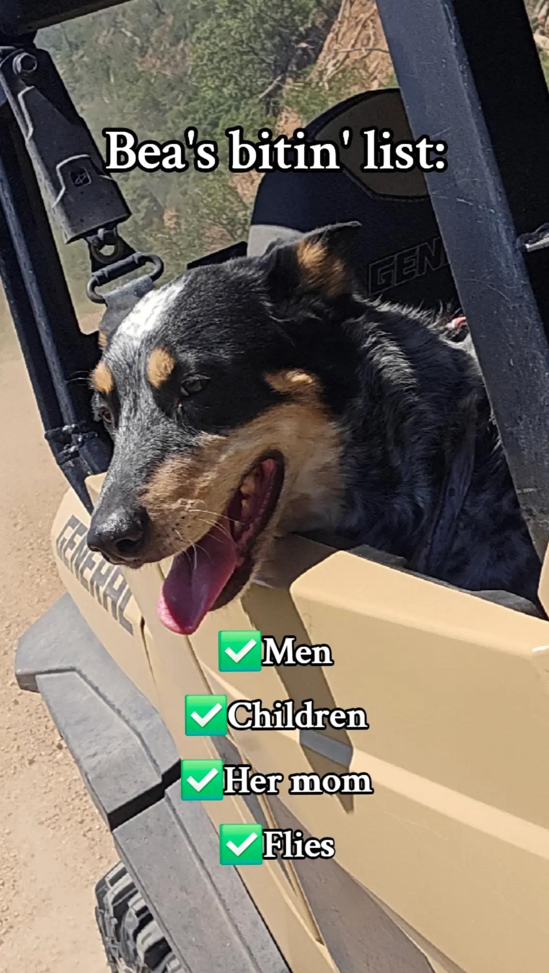 Post 5 by Angela The Social Worker on TikTok (video)