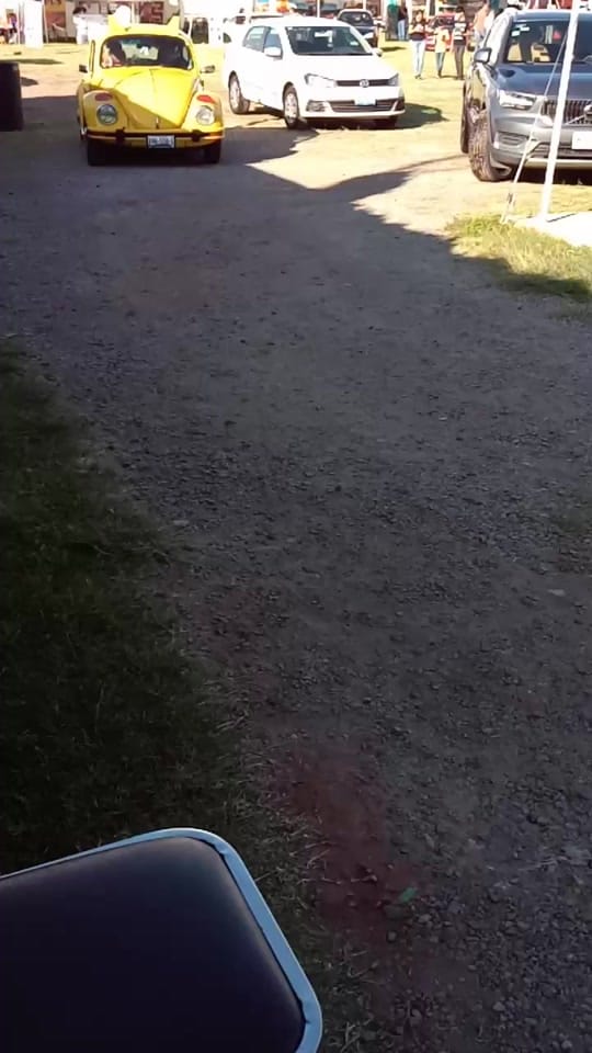 Post 1 by Edy Monti on TikTok (video)