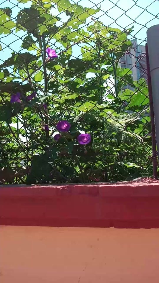 Post 7 by Edy Monti on TikTok (video)