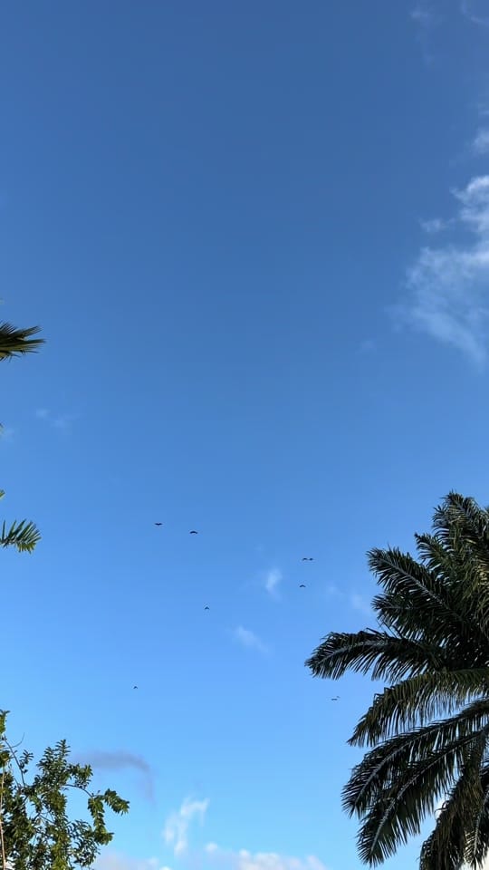 Post 3 by Vlg_ss4 on TikTok (video)