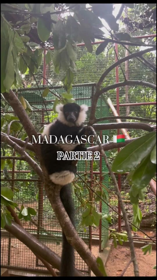 Post 8 by Lova_mino on TikTok (video)