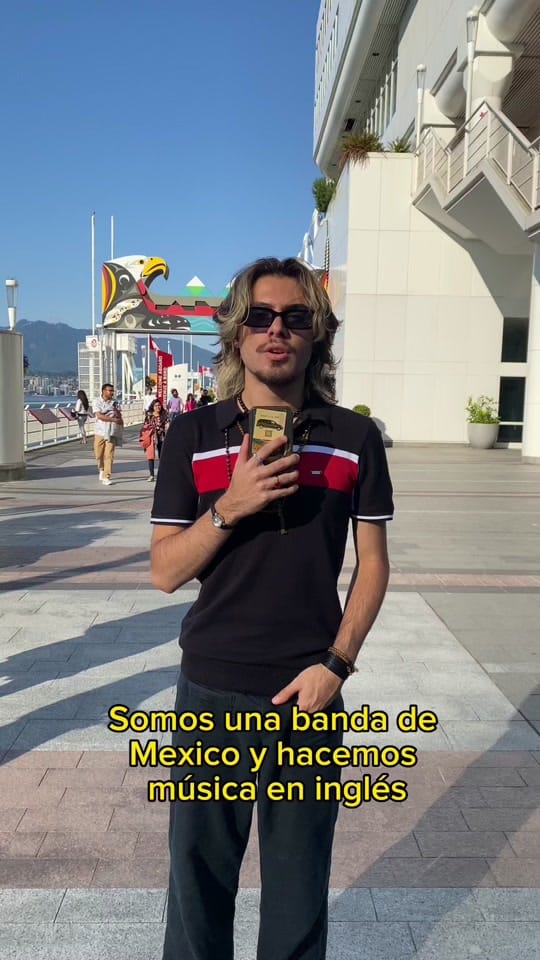 Post 10 by Strawberry Pom on TikTok (video)