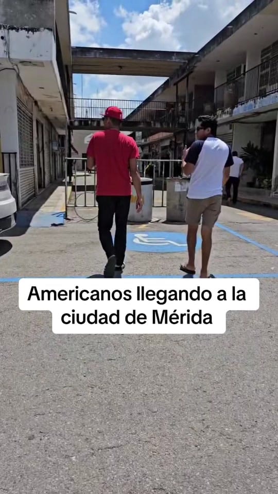Post 7 by Alexis Max on TikTok (video)