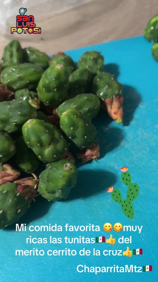 Post 9 by chaparrita.mtz on TikTok (video)