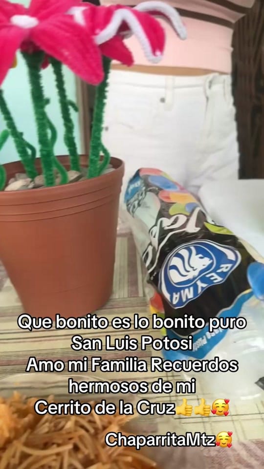 Post 8 by chaparrita.mtz on TikTok (video)