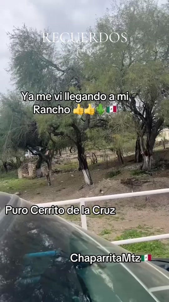 Post 7 by chaparrita.mtz on TikTok (video)