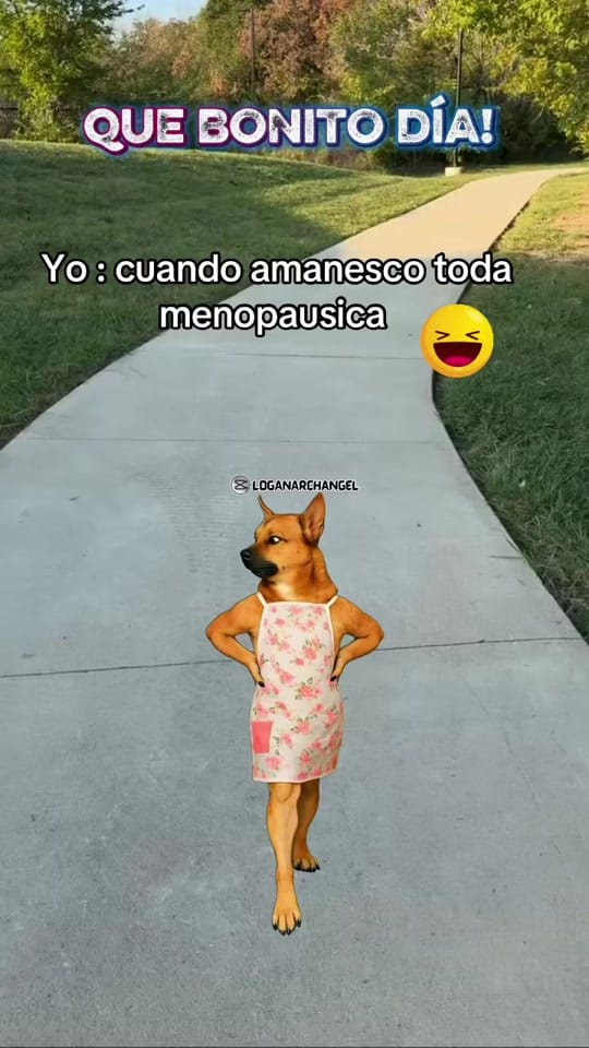 Post 6 by chaparrita.mtz on TikTok (video)