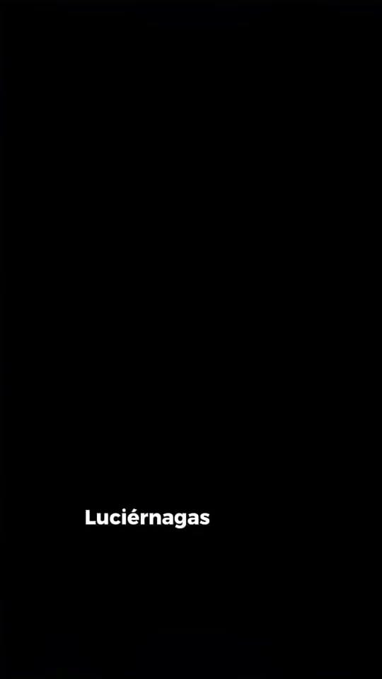 Post 6 by LucyBriel on TikTok (video)