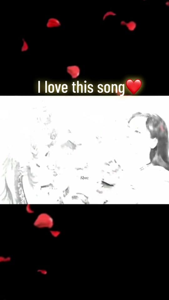 Post 10 by ✨🧿𝒮𝒽𝒶𝓏🧿✨ on TikTok (video)