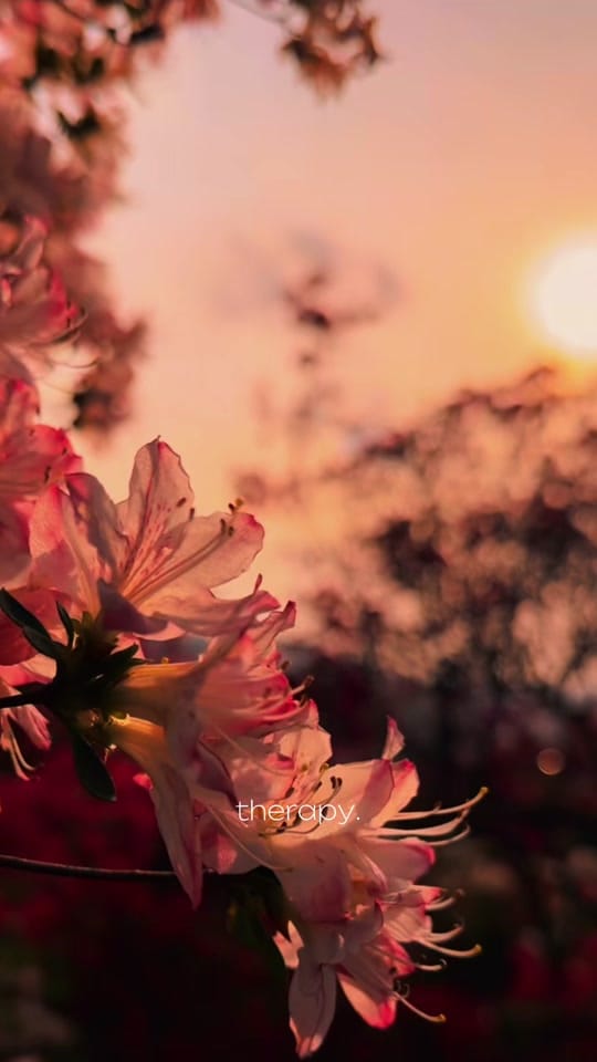 Post 4 by City’s on TikTok (video)