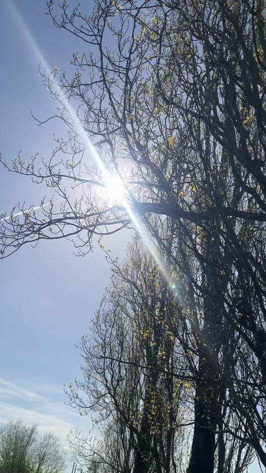 Post 6 by City’s on TikTok (video)