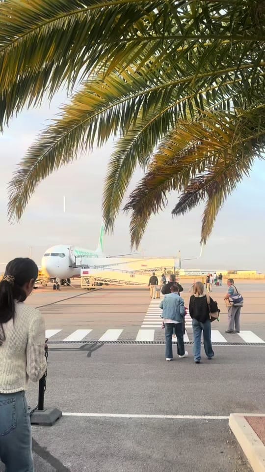 Post 4 by Grace Durkin on TikTok (video)