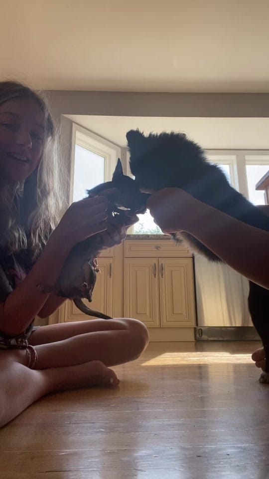 Post 1 by Frankie on TikTok (video)