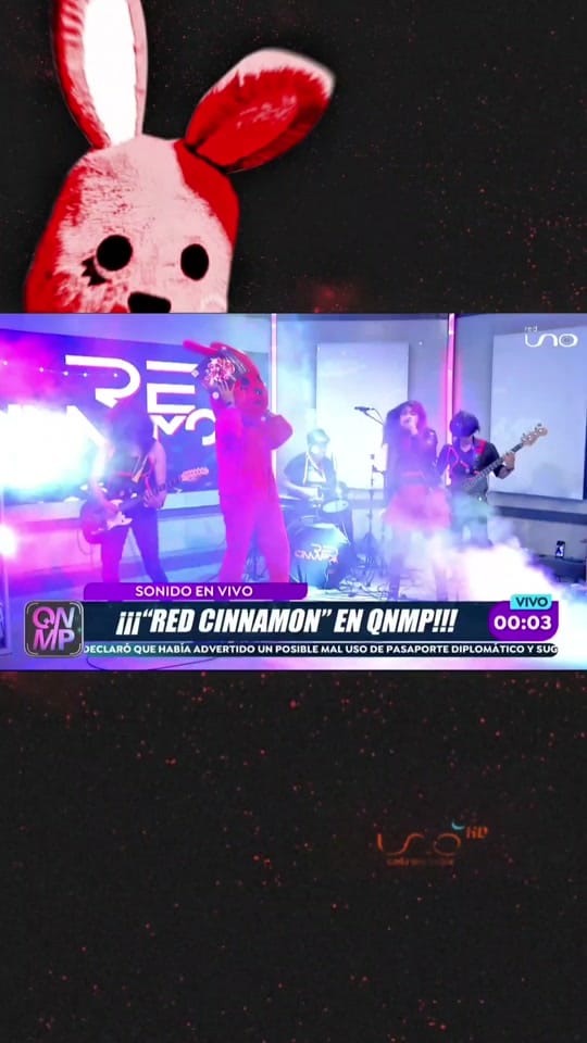 Post 4 by Red Cinnamon on TikTok (video)