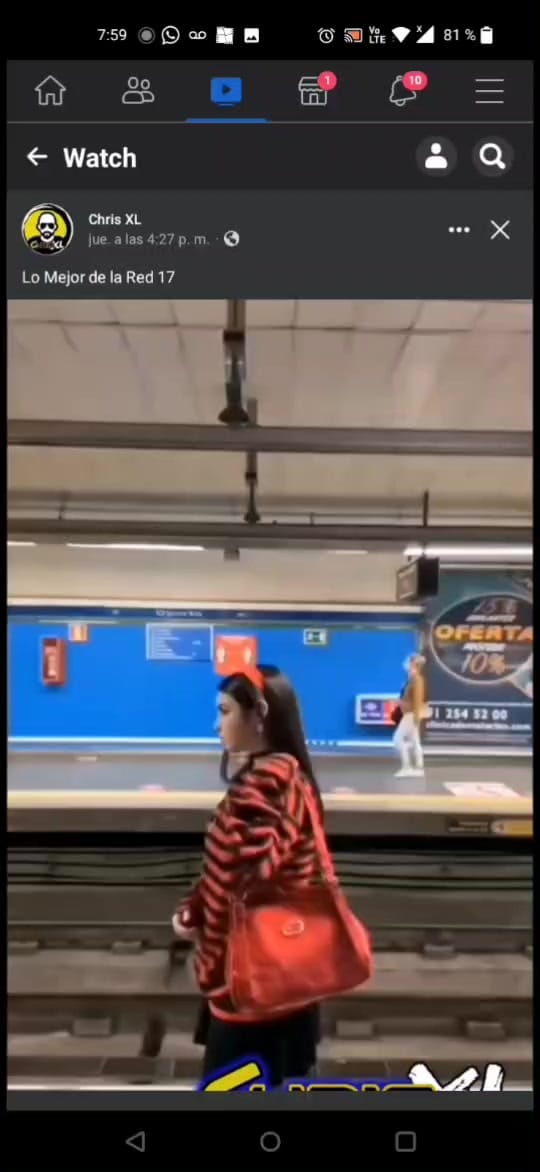 Post 4 by mozkito8 on TikTok (video)