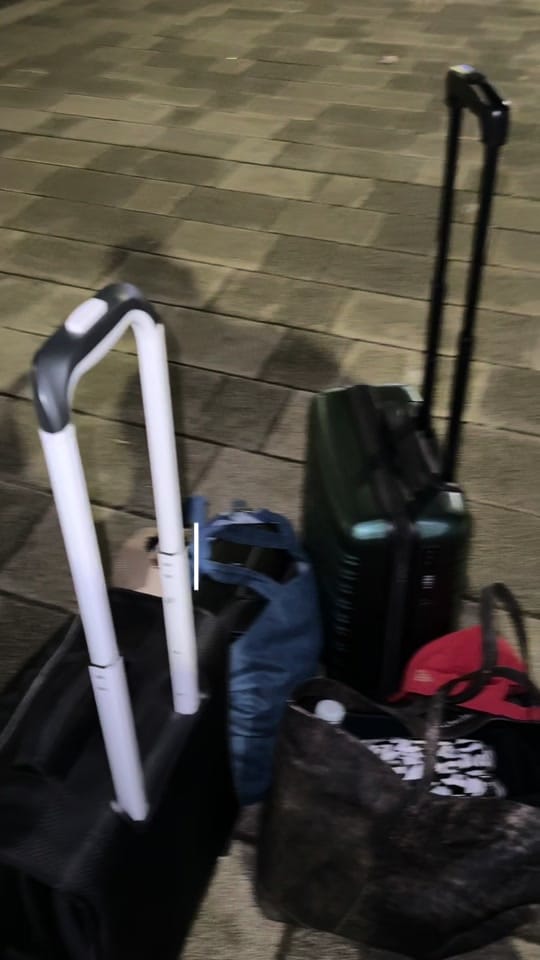 Post 7 by Brogan Paris Pascall on TikTok (video)