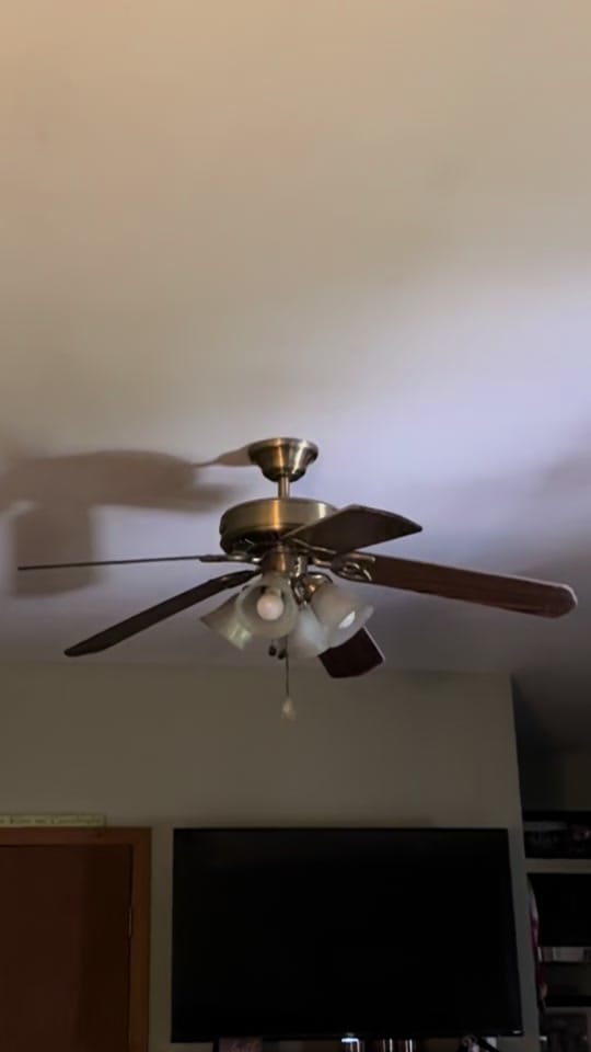 Post 5 by justadablife on TikTok (video)