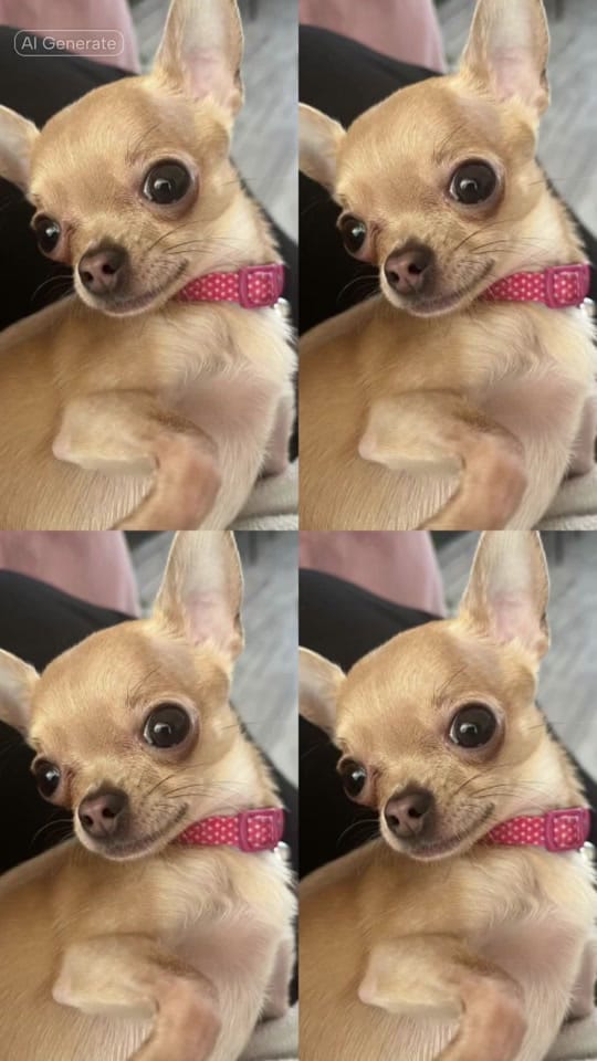 Post 6 by Magic on TikTok (video)