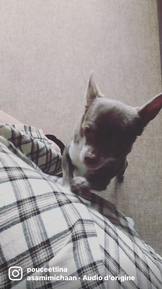 Post 10 by Pouceetlina on TikTok (video)