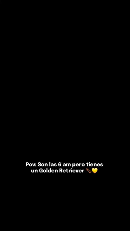Post 6 by Blue Chair TV on TikTok (video)