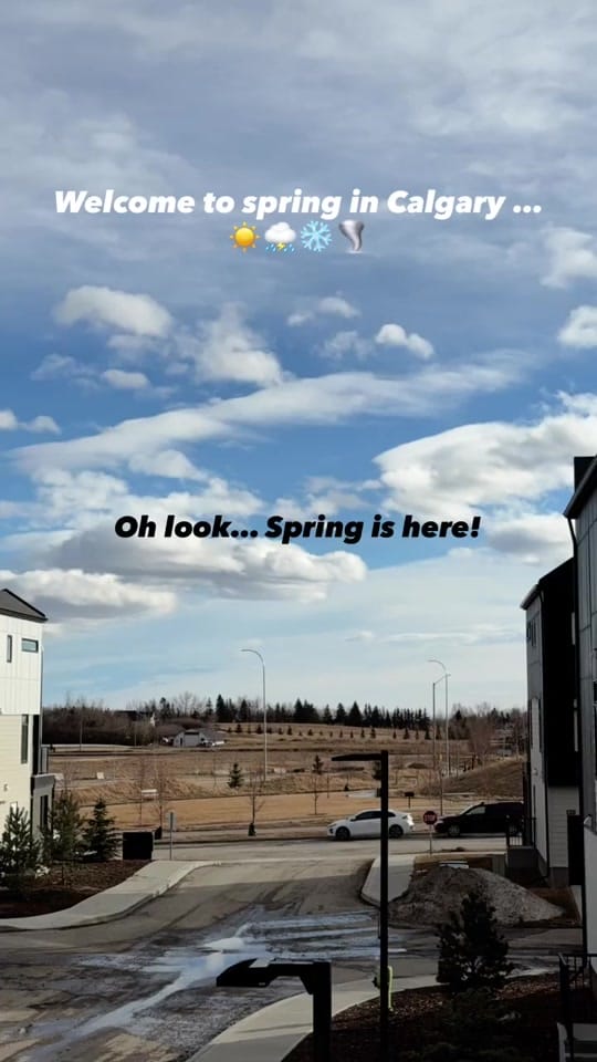 Post 9 by Blue Chair TV on TikTok (video)