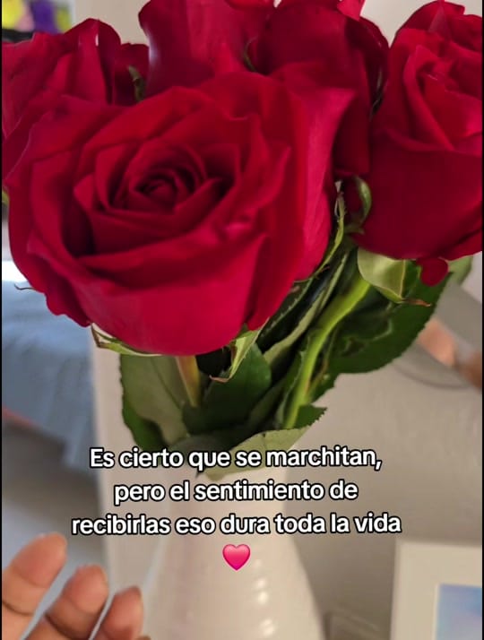 Post 9 by 🌹Karina Hernández🌹 on TikTok (video)
