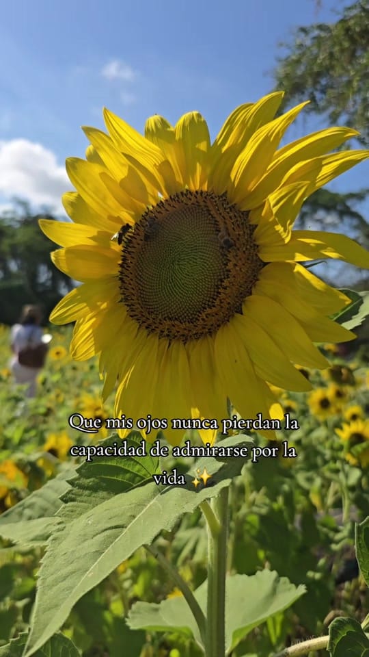 Post 5 by 🌹Karina Hernández🌹 on TikTok (video)
