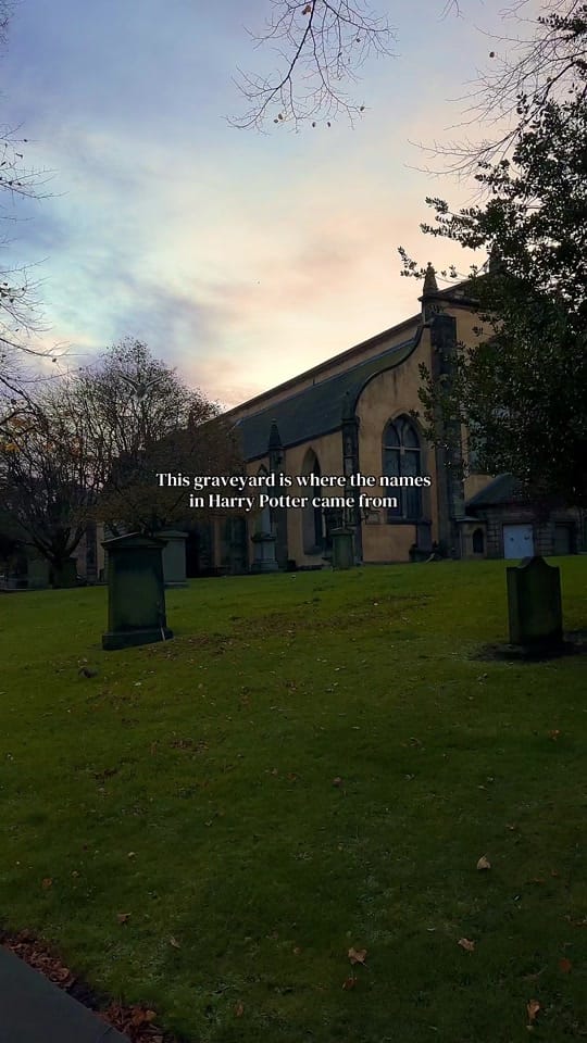 Post 5 by Francesca Pontes on TikTok (video)