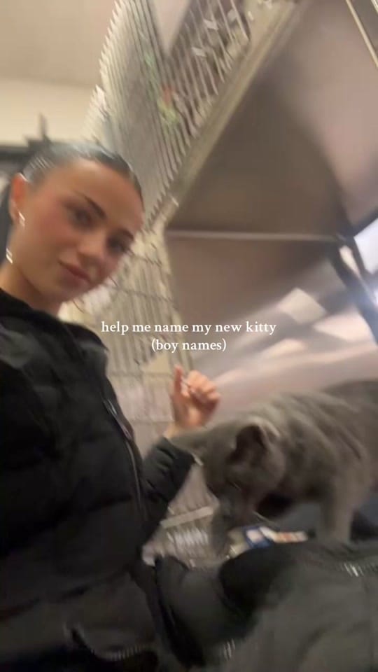 Post 6 by julia🪽 on TikTok (video)