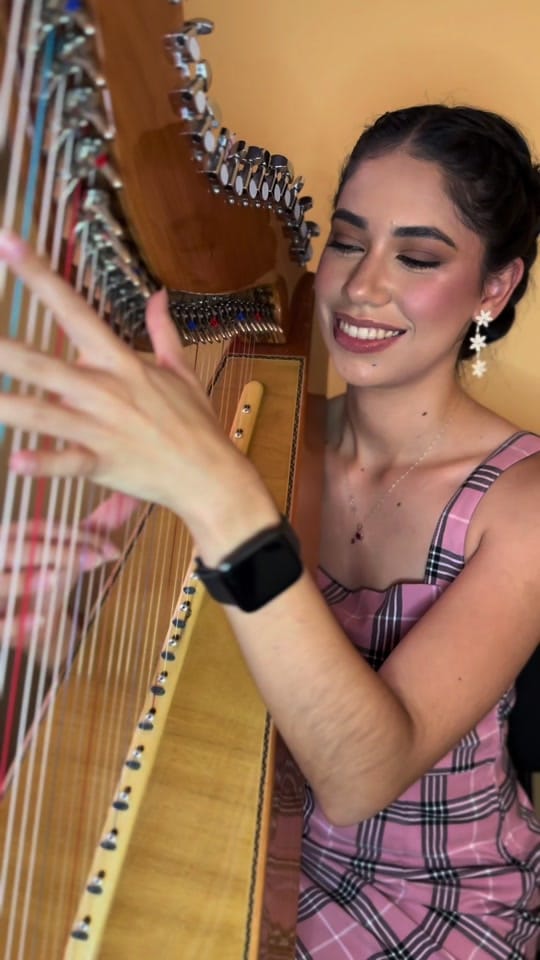 Post 9 by Larissa Ledesma on TikTok (video)