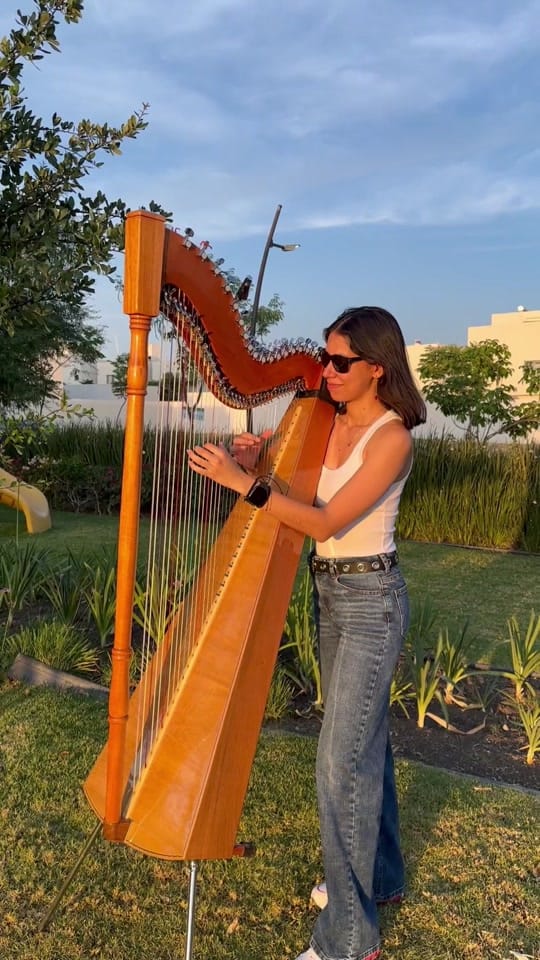 Post 8 by Larissa Ledesma on TikTok (video)