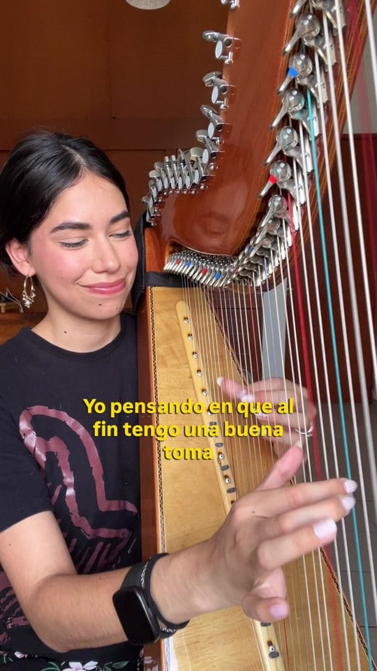 Post 6 by Larissa Ledesma on TikTok (video)