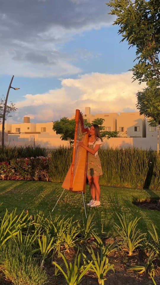 Post 4 by Larissa Ledesma on TikTok (video)
