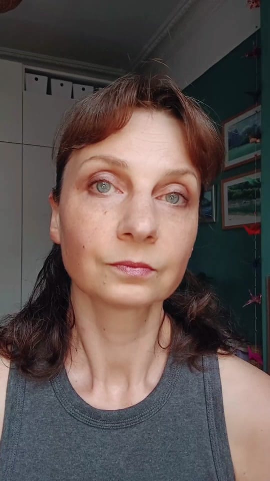 Post 5 by Veronica Toumanova 🇲🇫 🇪🇺 on TikTok (video)