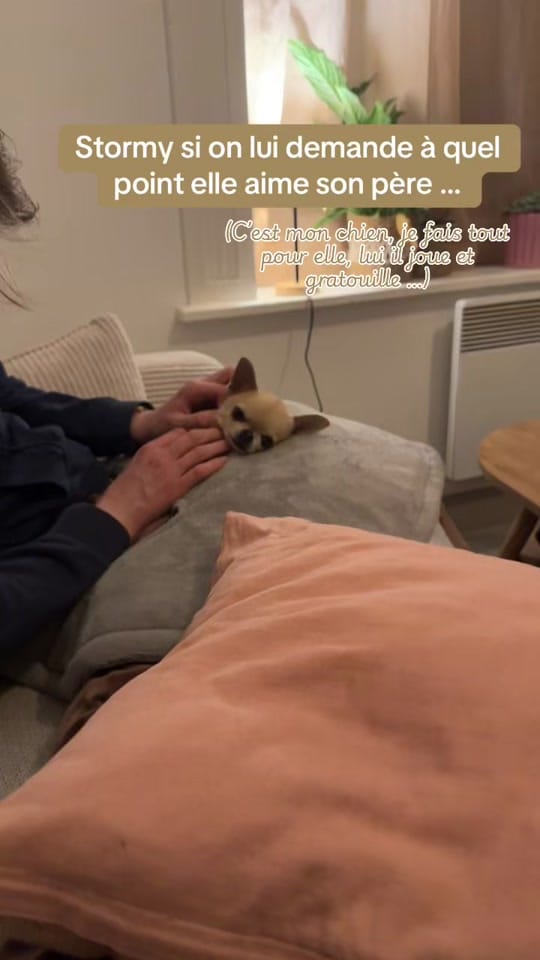 Post 6 by Stormy & Alie 🐾 on TikTok (video)