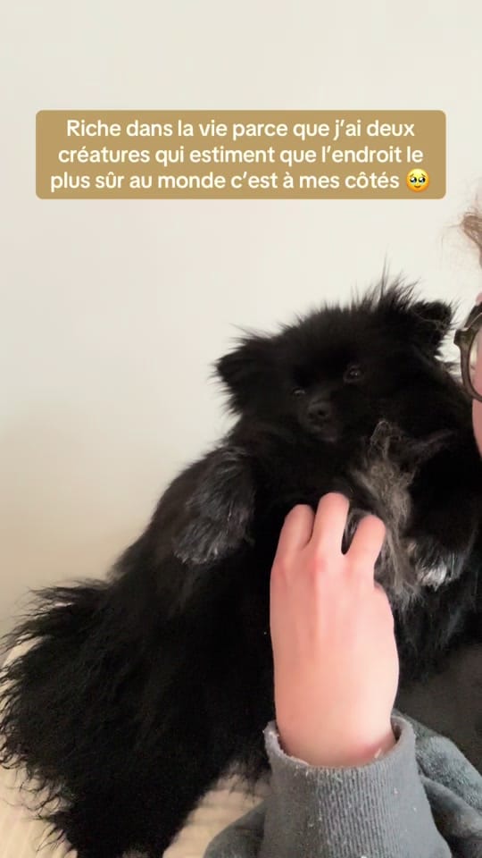 Post 7 by Stormy & Alie 🐾 on TikTok (video)