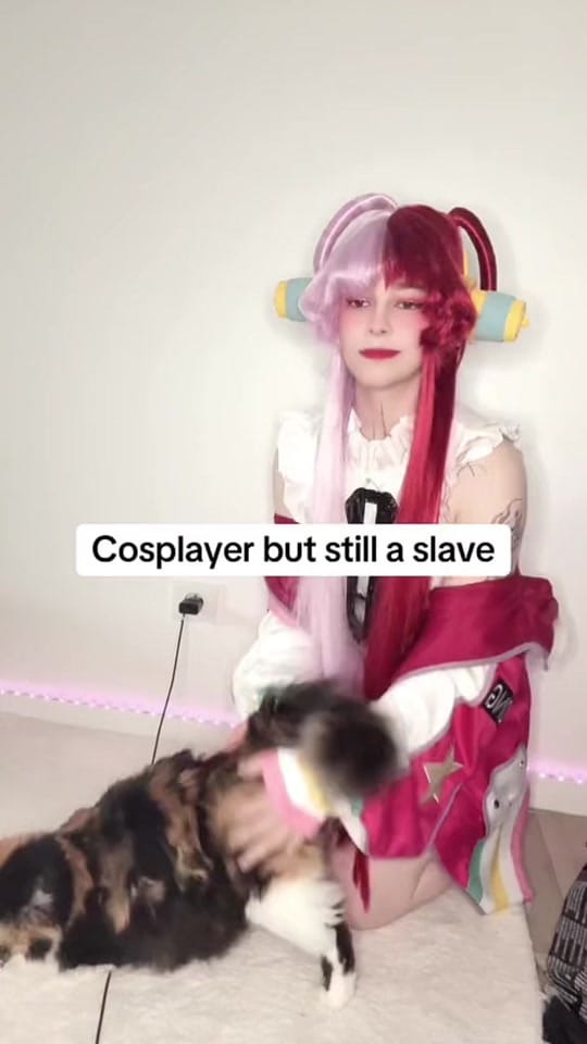 Post 5 by laefa_cos on TikTok (video)