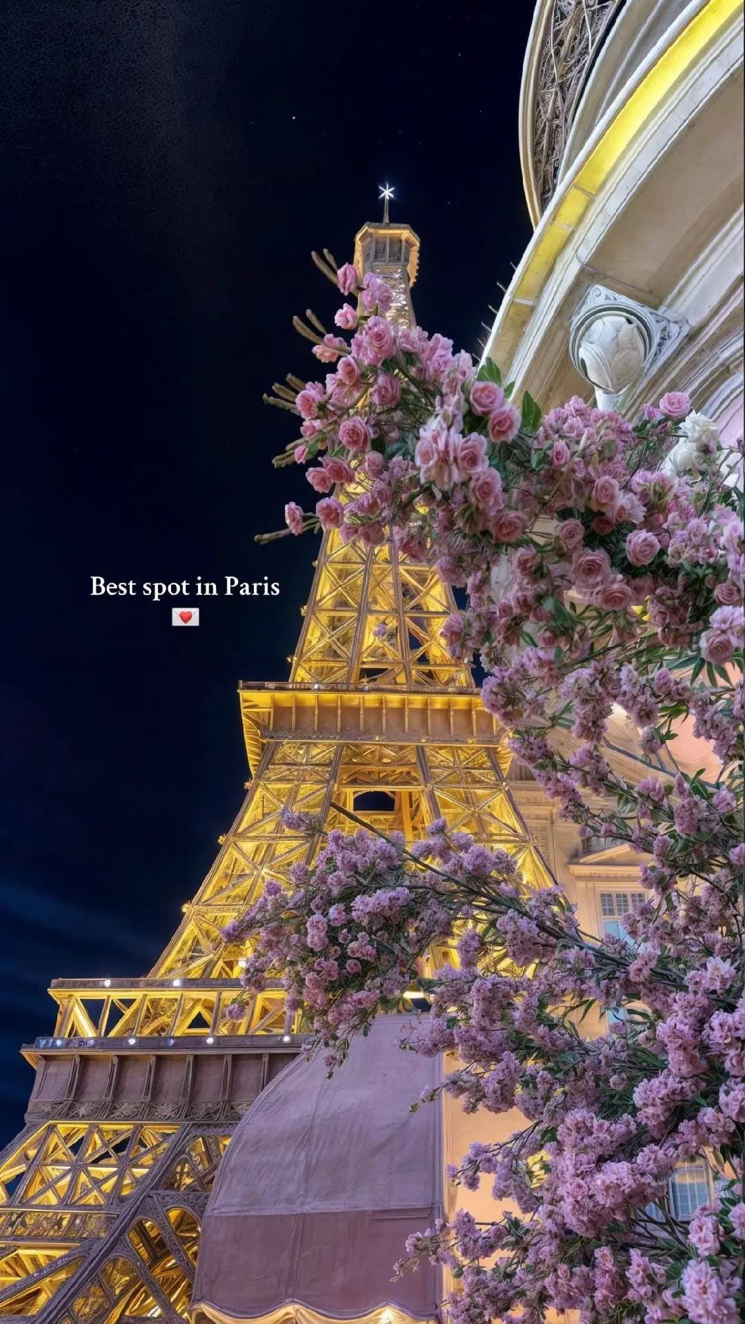 Post 8 by Paris in mood on TikTok (video)
