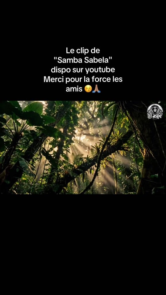Post 7 by Dj Aspé - SEB on TikTok (video)