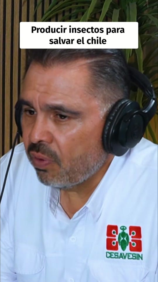 Post 4 by Semillero_Agropodcast on TikTok (video)