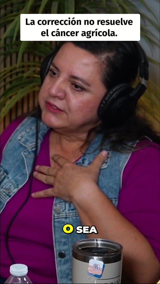 Post 6 by Semillero_Agropodcast on TikTok (video)