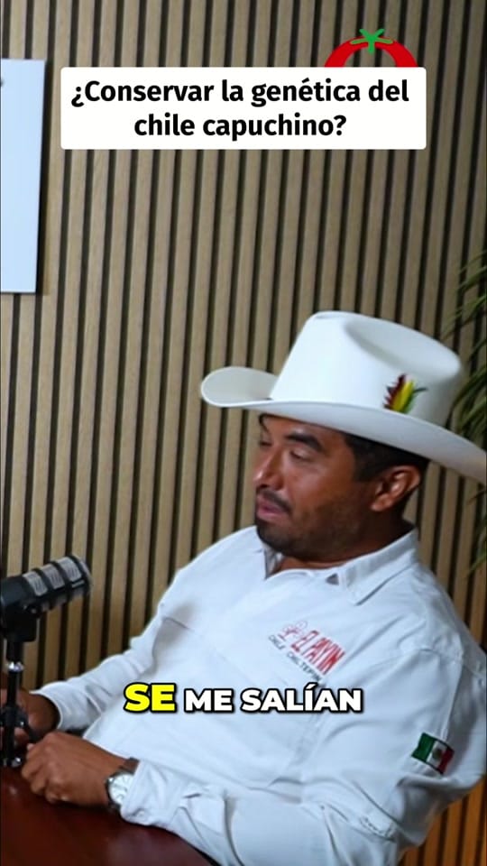 Post 8 by Semillero_Agropodcast on TikTok (video)