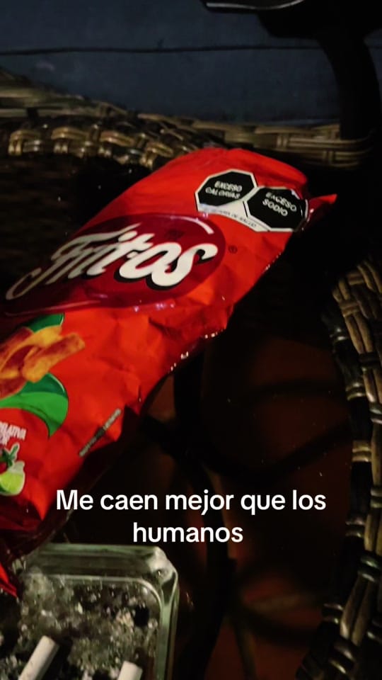 Post 3 by rickytrech on TikTok (video)