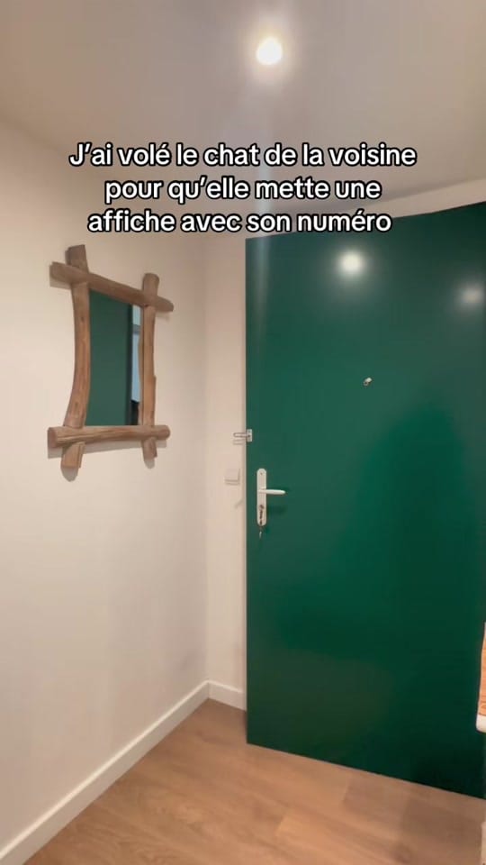 Post 8 by Jo on TikTok (video)