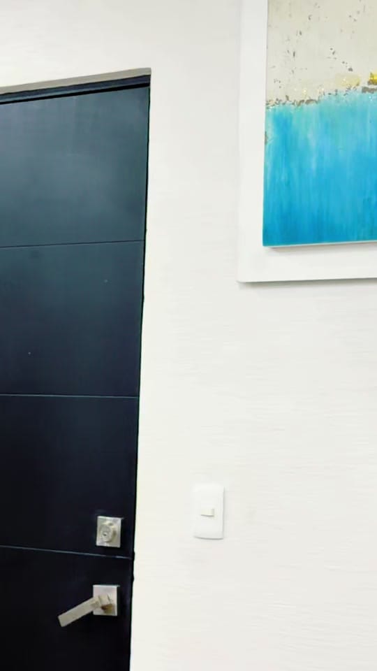 Post 1 by JoseLuis Palomo on TikTok (video)
