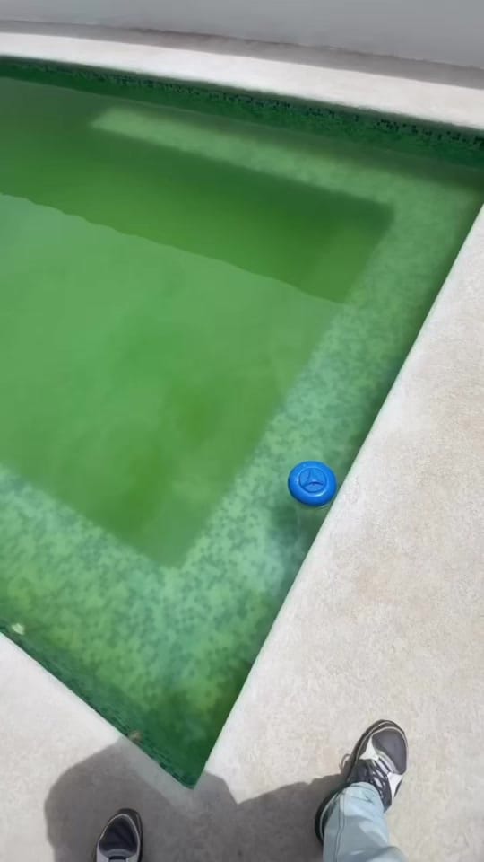 Post 6 by Ivanpools on TikTok (video)