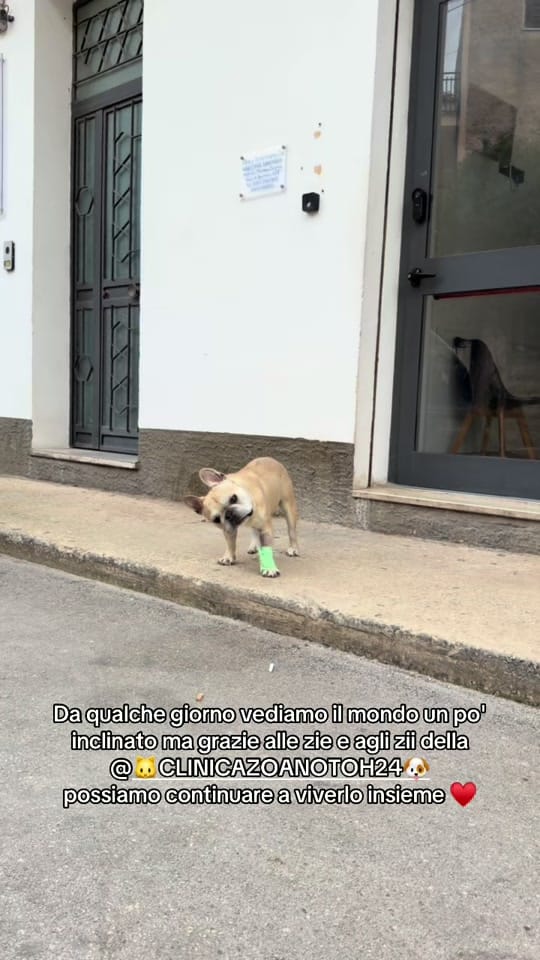 Post 1 by Francesco Passanisi on TikTok (video)