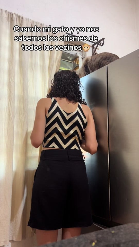 Post 4 by Anahi Escatel on TikTok (video)